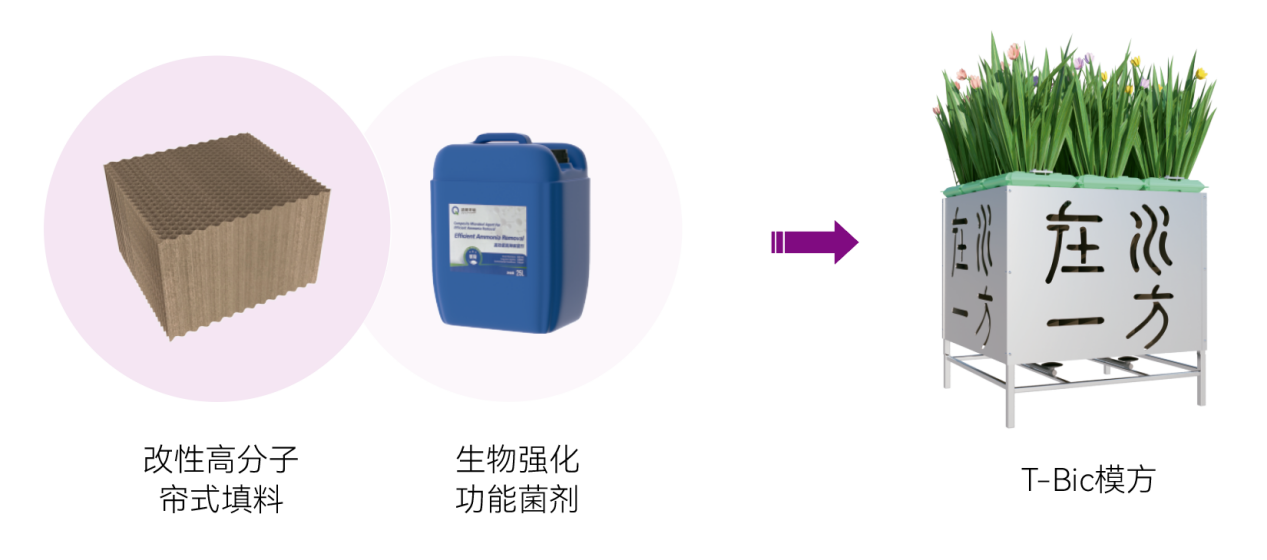 77体育-专属体育指南与赛事平台